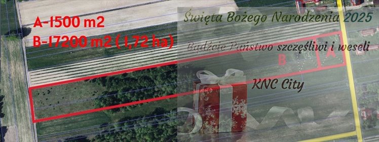 działka na sprzedaż 1500m2 działka Kozioł