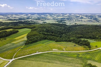 działka na sprzedaż 12400m2 działka Wielopole Skrzyńskie