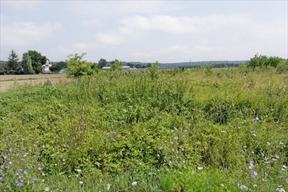 Działka rolna na sprzedaż Zakurzewo 1 249m2 Foto 2