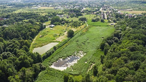 Prawie 7 ha w Żarach za 8,70 zł/m² działka Żary, Bociania