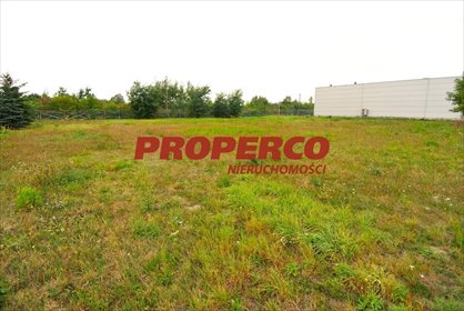 Działka 6000 m² w Pawłowicach, blisko S7 - polecam! działka Pawłowice