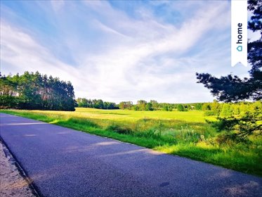 działka na sprzedaż 1070m2 działka Łubiana, Leśna