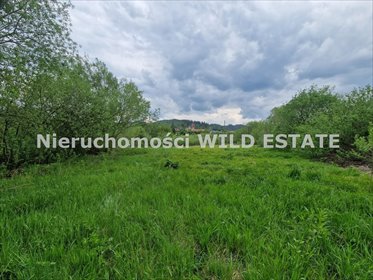 Działka inwestycyjna nad Jeziorem Solińskim z warunkami zabudowy działka Solina, Zawóz