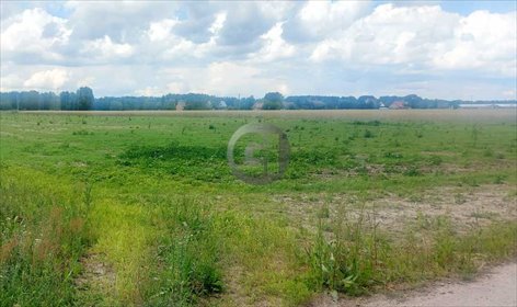 Działki 1200 m² przy lesie, media, utwardzona droga - polecam! działka Dziersławice