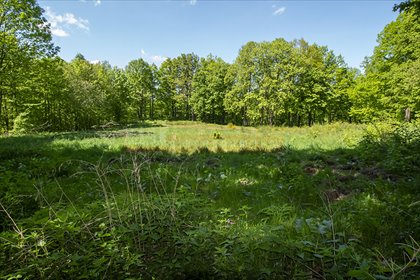 działka na sprzedaż 4250m2 działka Jarnołtówek