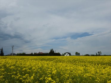 Działka na sprzedaż działka Przeworsk