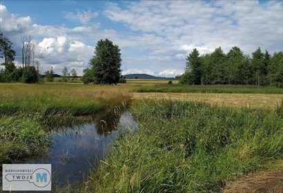 działka na sprzedaż 56571m2 działka Strawczyn, Korczyn