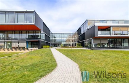 lokal użytkowy na wynajem 35m2 lokal użytkowy Warszawa, Wilanów, Adama Branickiego