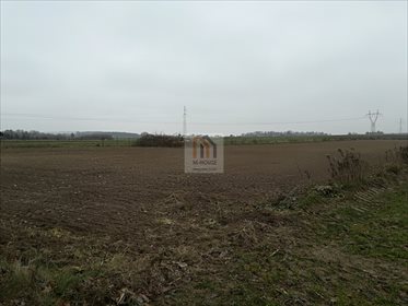Działka budowlana na sprzedaż Iżyce 9 700m2 Foto 7
