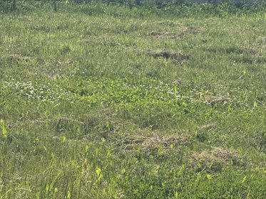 działka na sprzedaż 490m2 działka Rzeszów, Mokra Strona