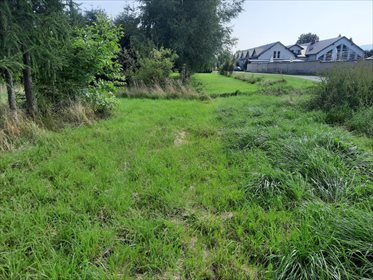 Działka budowlana na sprzedaż Leśna 7 700m2 Foto 4