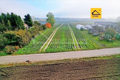 działka na sprzedaż 10017m2 działka Zezulin Niższy, Zezulin