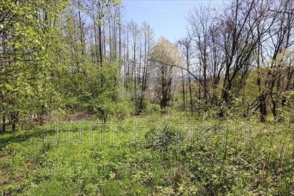 Działka inna na sprzedaż Brzoskwinia, Popówka, Brzoskwinia 8 200m2 Foto 6