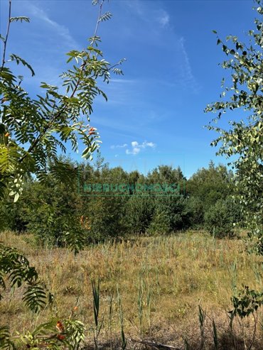 działka na sprzedaż 8083m2 działka Jaktorów