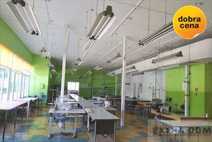 lokal użytkowy na wynajem 700m2 lokal użytkowy Nowogard