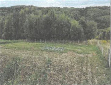 Działka 5 600 m² w Baryczy - atrakcyjna oferta. działka Barycz
