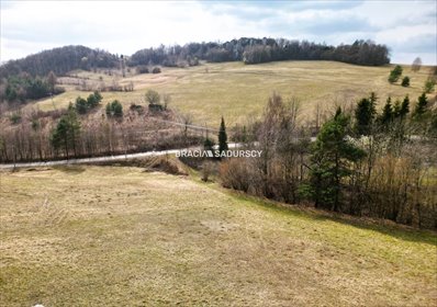 działka na sprzedaż 4400m2 działka Jerzmanowice, Zachodnia