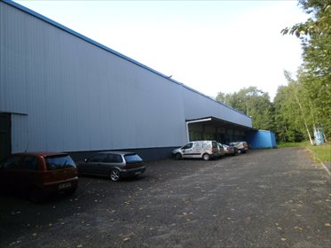 Magazyn na wynajem Mysłowice, Bończyk, Ks. Bończyka 239m2 Foto 5