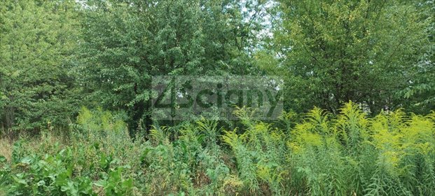 Do sprzedania działka 971 m² z mediami i lasem w Żółwinie działka Żółwin