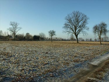 Działka budowlana na sprzedaż Liszkowice 8 000m2 Foto 2