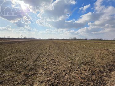 działka na sprzedaż 3000m2 działka Popędzyna