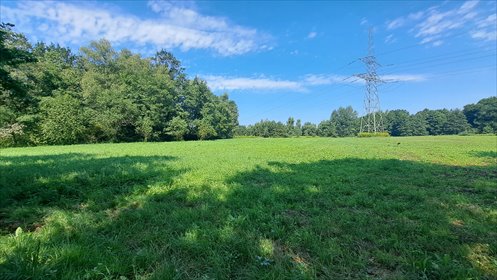 Na sprzedaż działka rolna 39 arów w Dąbrowie Szlacheckiej działka Dąbrowa Szlachecka