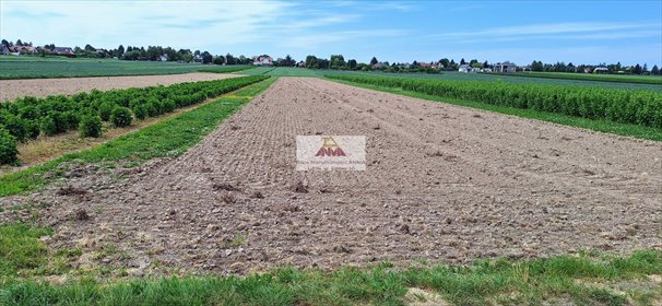 Do sprzedania działka inwestycyjna 4,3 ha w Zemborzycach Kościelnych działka Lublin, Zemborzyce, Zemborzyce Kościelne