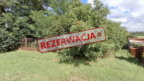 działka na sprzedaż 6000m2 działka Moczydłów