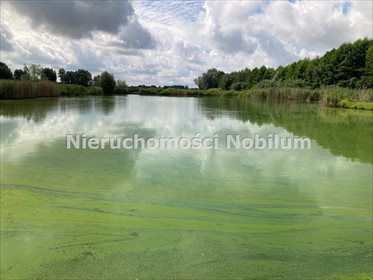 Działka inna na sprzedaż Koniowo 38 300m2 Foto 2