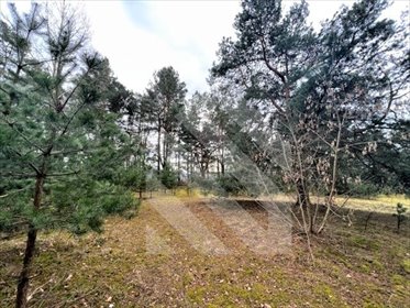 Działka inwestycyjna 32 805 m² w Kapuściskach, Bydgoszcz działka Bydgoszcz, Kapuściska