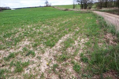 Działka rolna na sprzedaż Gorłówko 3 883m2 Foto 4