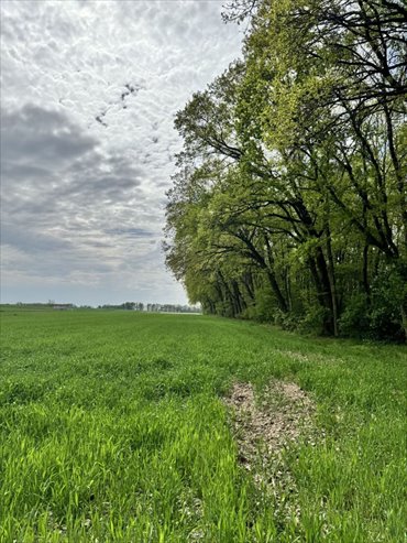 działka na sprzedaż 1041m2 działka Wola Pasikońska, Wola Pasikońska