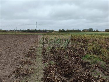 Działka 1072 m2 pod dom jednorodzinny w Kampinosie. działka Kampinos A