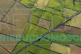 działka na sprzedaż 3000m2 działka Rzeczków