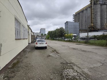 lokal użytkowy na sprzedaż 1230m2 lokal użytkowy Płońsk