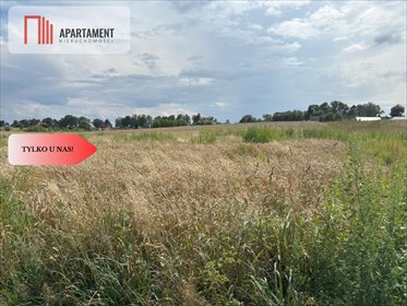 Działka z projektem domu, pełne formalności, 3047 m² działka Gołębiewo Wielkie, Dalii