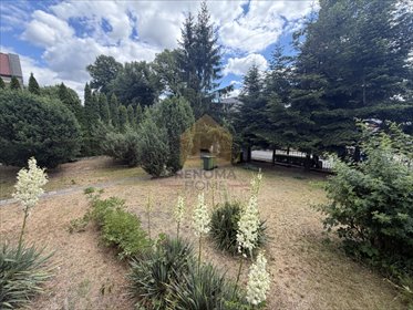 Dom z duszą i dużą działką w Ziębicach dom Ziębice