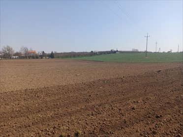 Działka budowlana na sprzedaż Nowa Wieś 1 000m2 Foto 7
