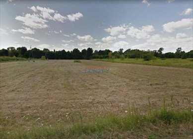 działka na sprzedaż 19800m2 działka Góra Kalwaria, Kąty