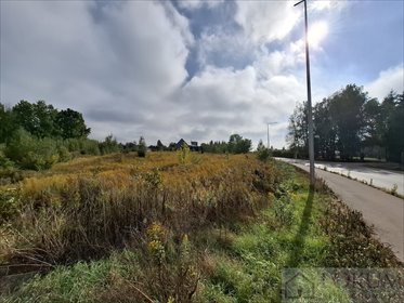 Działka 3803 m² pod zabudowę i inwestycje w Dys działka Dys