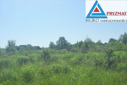 Działka budowlana na sprzedaż Mokiny 1 545m2 Foto 7