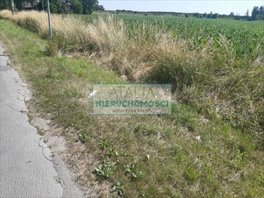 Działka inwestycyjna 3ha z warunkami zabudowy przy A2 działka Grodzisk Mazowiecki