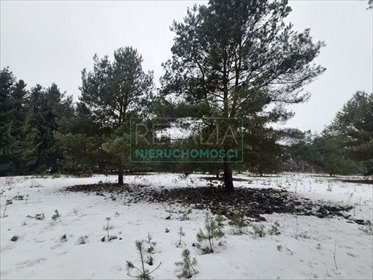 działka na sprzedaż 1247m2 działka Ojrzanów