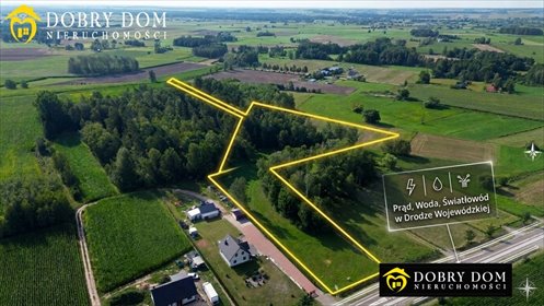 Działka 11 185 m² z warunkami zabudowy (las, media) działka Zygmunty