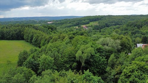 Dwie leśne działki inwestycyjne 42 ar Hermanowa polecam działka Hermanowa