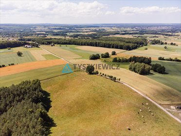 działka na sprzedaż 3111m2 działka Milwino, Rolnicza