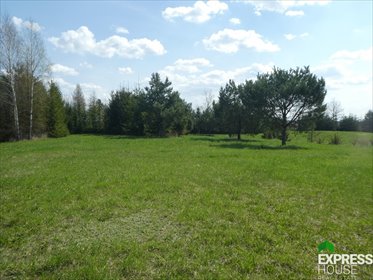 działka na sprzedaż 1500m2 działka Bałamutowo