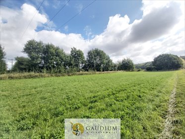 działka na sprzedaż 1600m2 działka Brudzewo