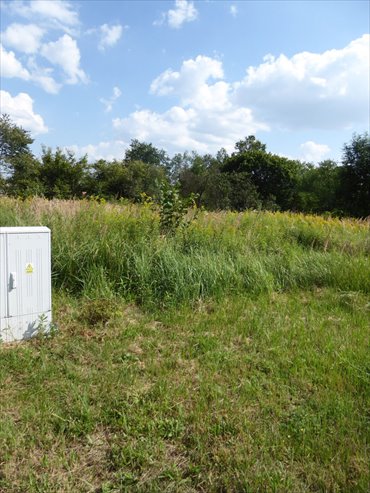 Działka 1000 m² pod dom z mediami i lasem w Radecz działka Radecz