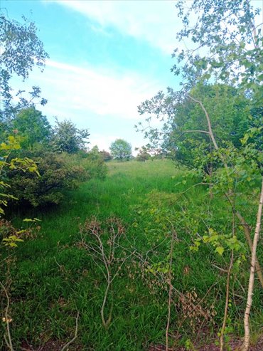 działka na sprzedaż 1011m2 działka Wałbrzych